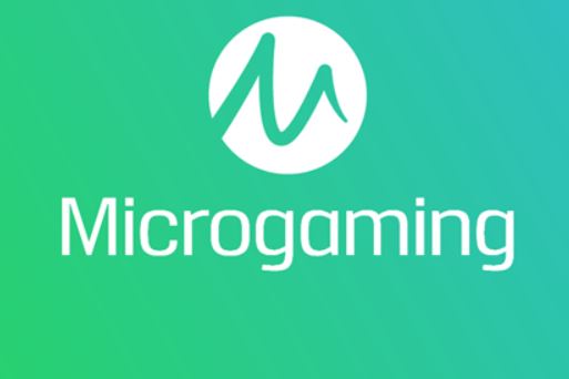 micro_1